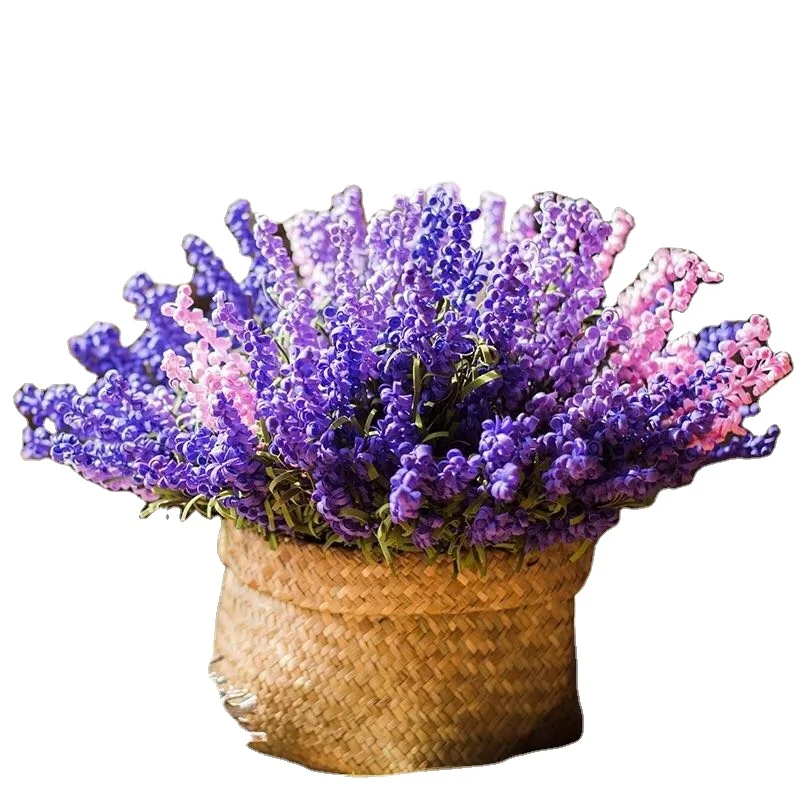 Factory Price Dried Jasmine Dried Flowers Jewelry Dried Flowers Preserved