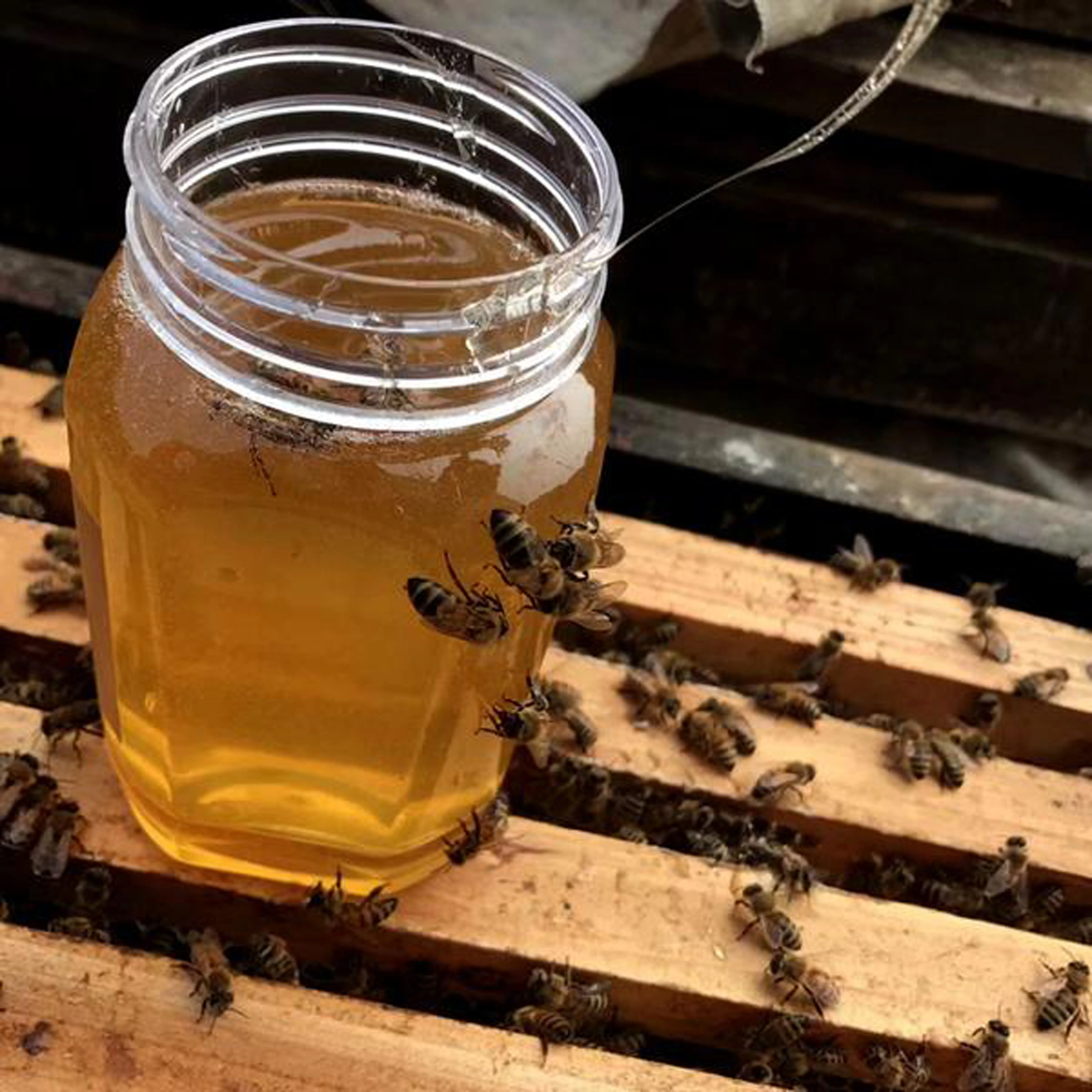 Meifang Food 12 Months Shelf Life Royal Honey Vip Pure Honey Vital High Quality From China