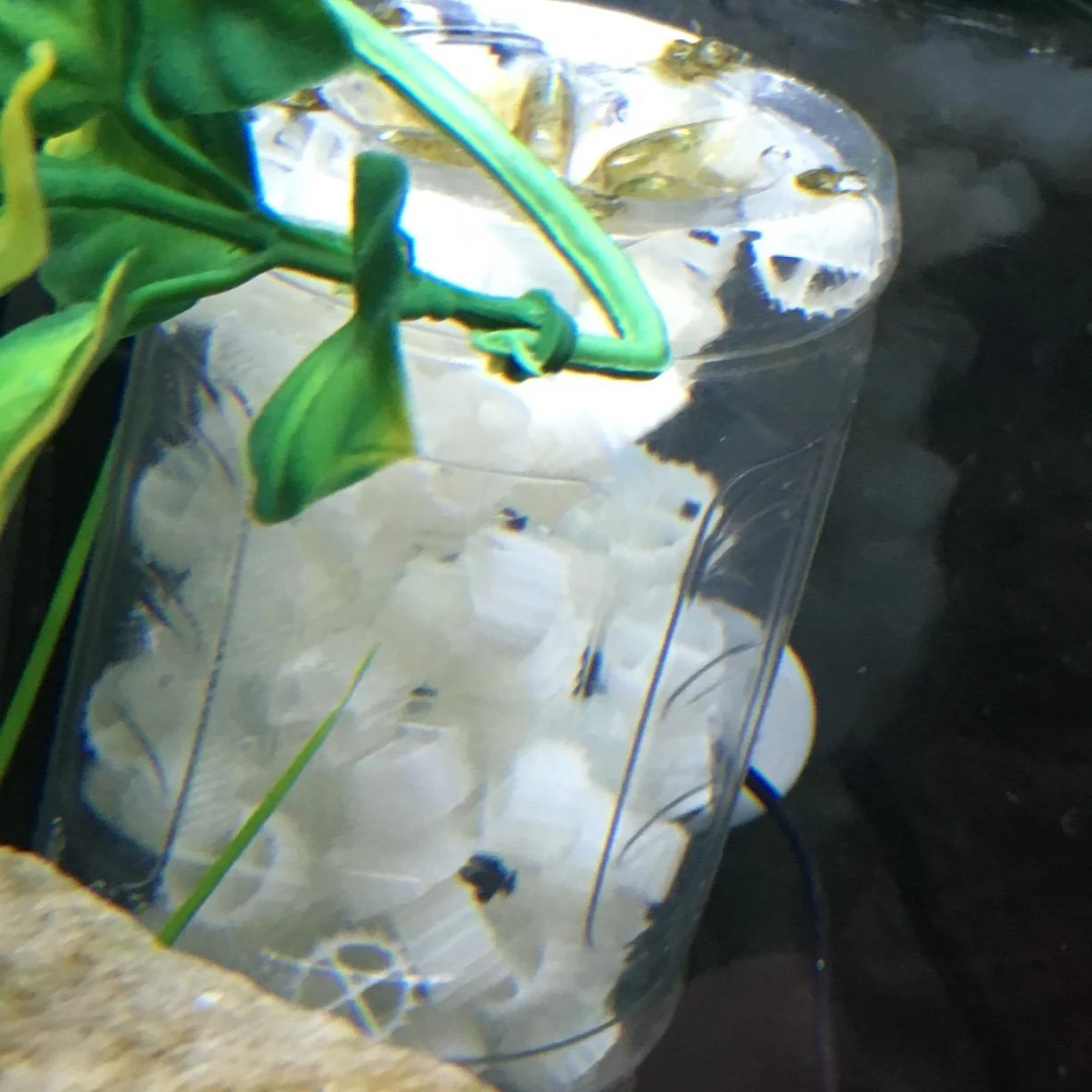 Carriers biofilter K1 MBBR bio filter media membrane Biofilm reactor wastewater treatment plant mbbr