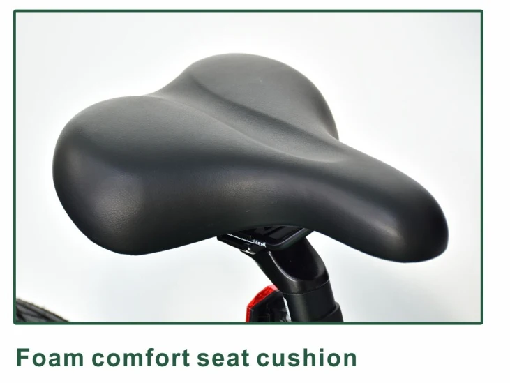 26*4.0 750W Big Power Fat Tire long range electric bike Mountain Ebike/snowmobile Bike/electric Bicycle.