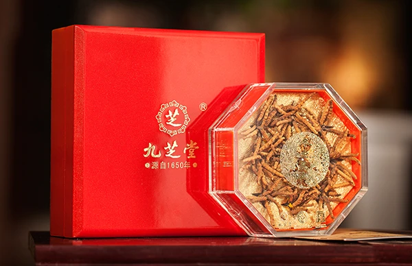 
Jiuzhitang Cordyceps Sinensis Dong Chong Xia Cao Herbal Medicines Aweto 