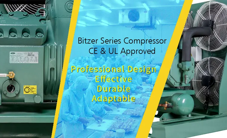 Высокое качество 30HP компрессорно-конденсаторный агрегат полугерметичный компрессор для холодильных камер