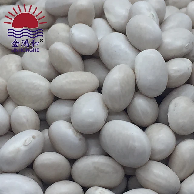 Superfine quality quality kidney beans/butter bean/white bean