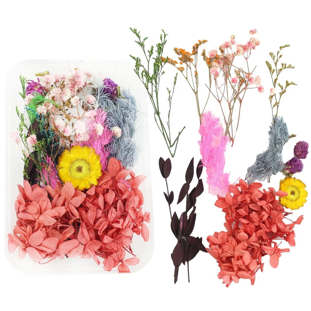  Amazon Best Seller Dry flowers Natural Mixed Random Baby Breath Pressed Dried Flowers For Resin Nail Phne Case DIy
