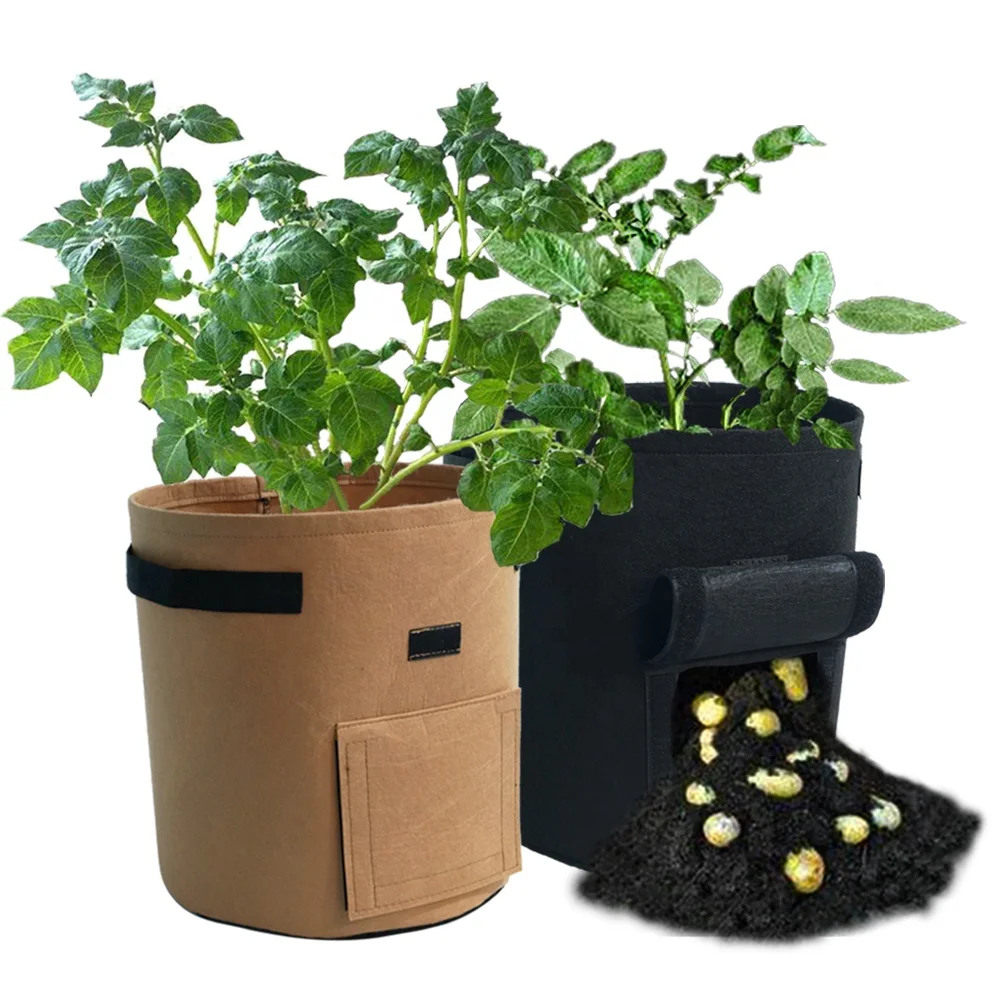 
sweet potato planter geo fabric grow bag 