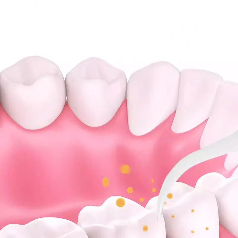 Oral Care Teeth Flosser Tooth Pick Dental Floss Picks