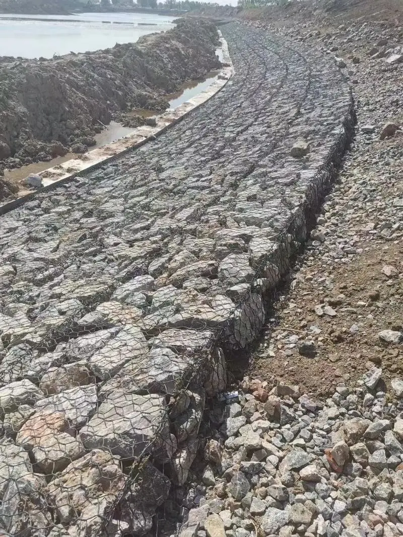 Metal Retaining Wall Wire Mesh Coastal Protection Stone Cage PVC Stone Cage Net Cage