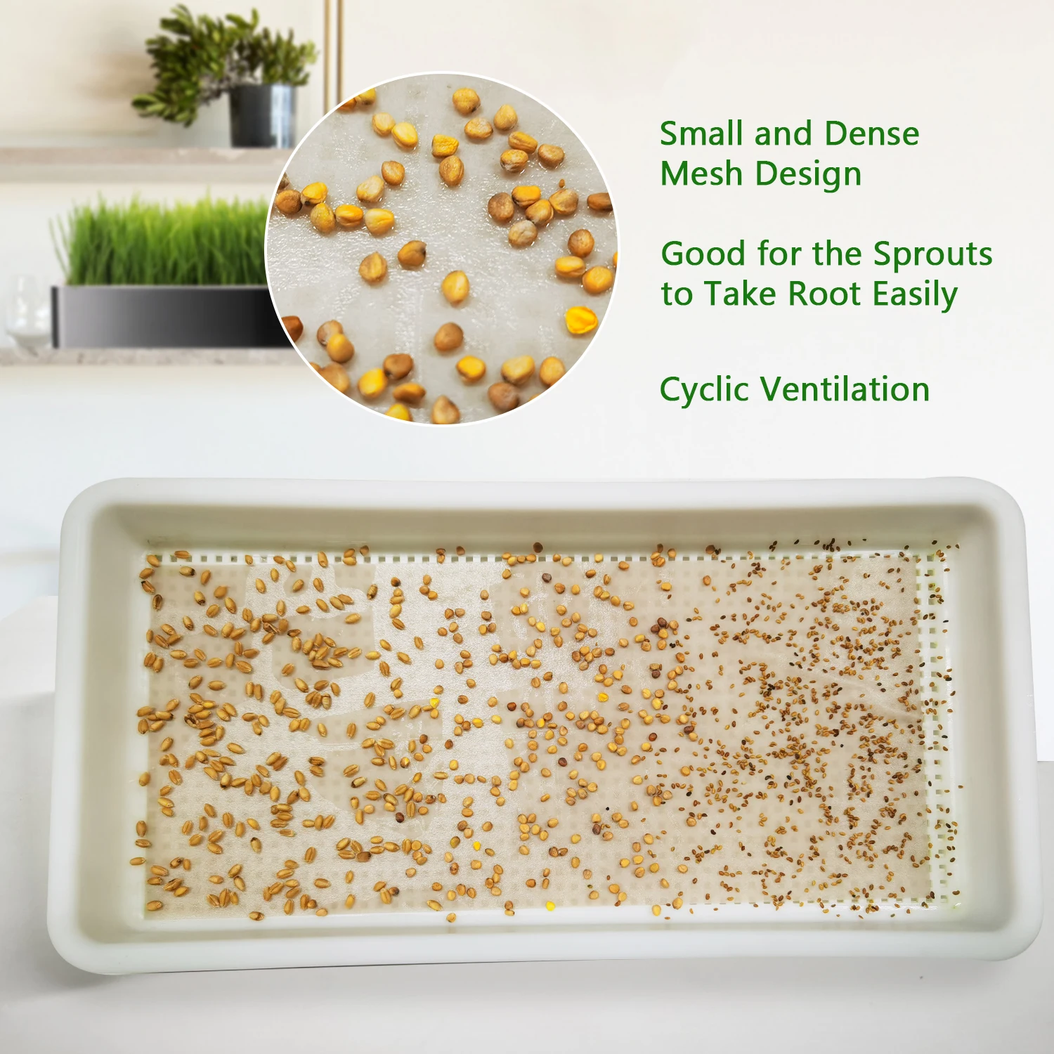 hydroponic self water garden starter set easy harvest Automate Self Watering micro green grow kits