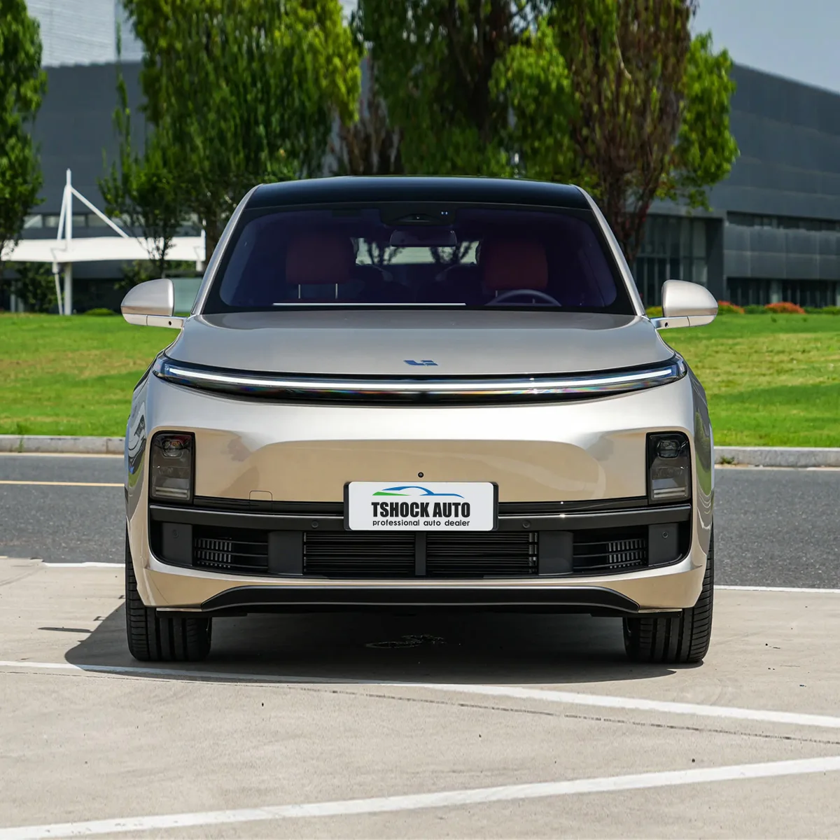 2024 Lixiang L9 ультра новый автомобиль для взрослых внедорожник Max Pro China EV 7 мест большой Гибридный