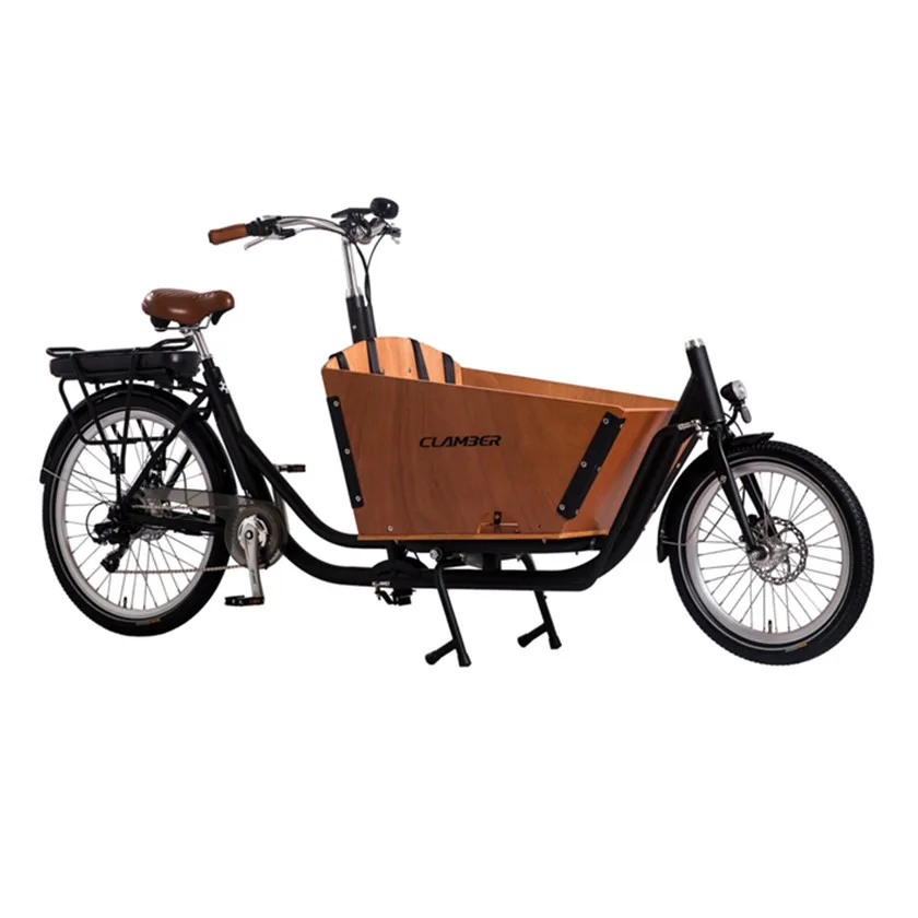 250W 36V Electric Adult Cargo Motorized Bicycle Fashionable Steel Frame with Lithium Battery Rear Carrier Position