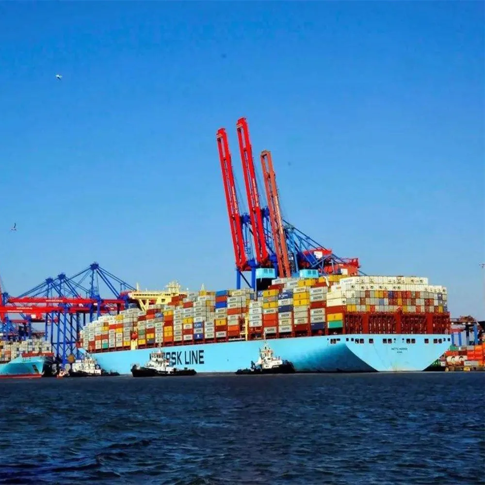freight forwarder shipping agent Shipping company from China DDP DDU to Saudi Arabia by truck express delivery excellent