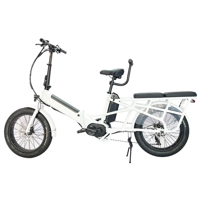 750w Double lithium battery adult ebike electric cargo bike delivery e-bike family bike