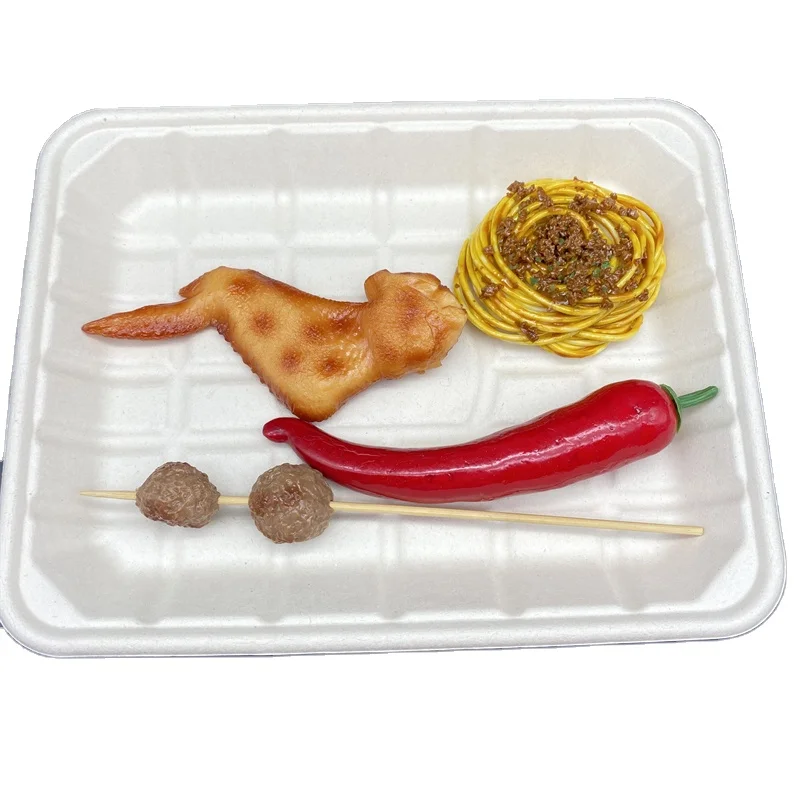 Biodegradable Paper Pulp Fruit Meat Tray Rectangle Square Disposable Food Tray