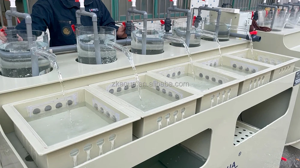 Fishery Juveniles Fish Jars Tilapia Hatchery Supplier