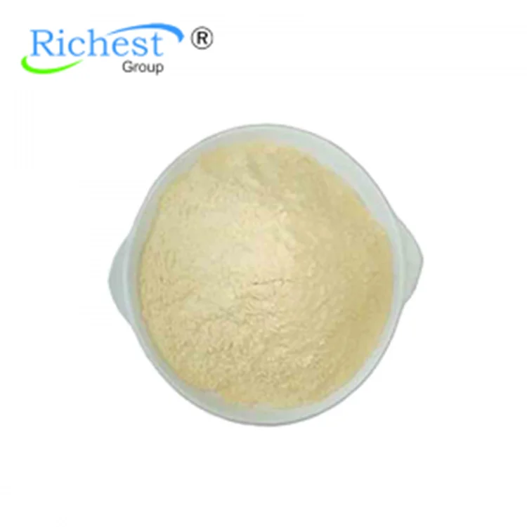 
High Quality Gelatin 