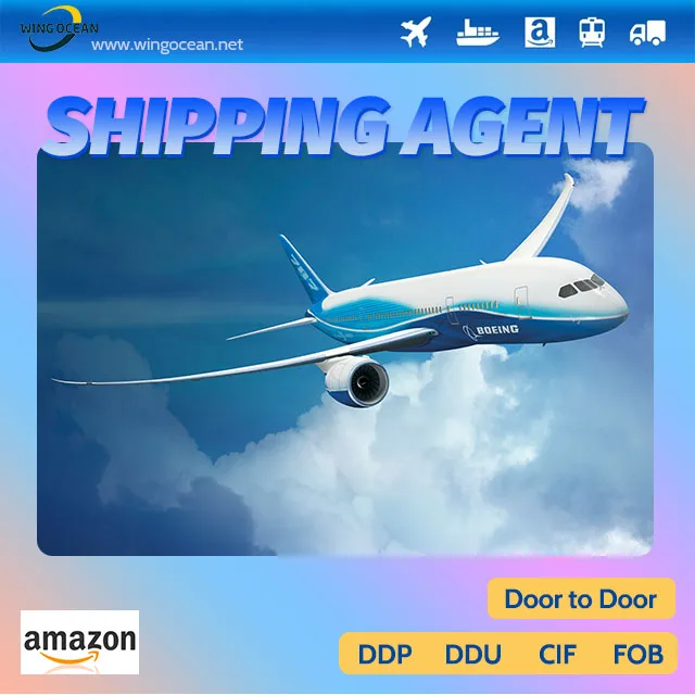 Door to Door logistics service 2024 Cheapest freight forwarder LCL shipping agent air shipping from china to France