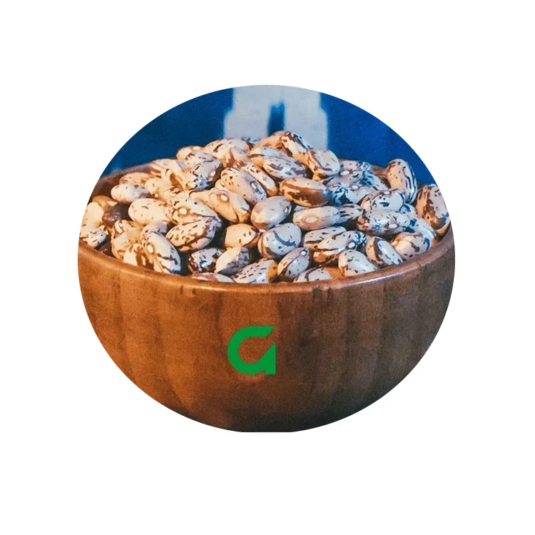 
Hot Sale Long Shape Organic Light Speckled Kidney Beans 