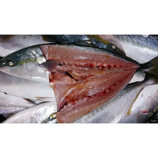 Свежая круглая Корейская рыба оптовая продажа замороженные морепродукты Желтая с желтым хвостом