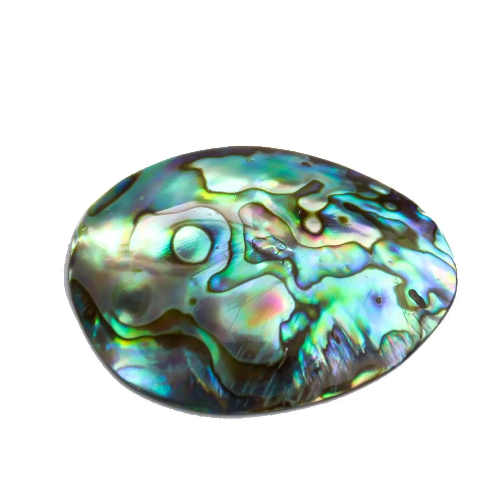 Raw Single Side Abalone Shell bead paua shell pieces sea shells for Jewelry Making Accessories Pendants