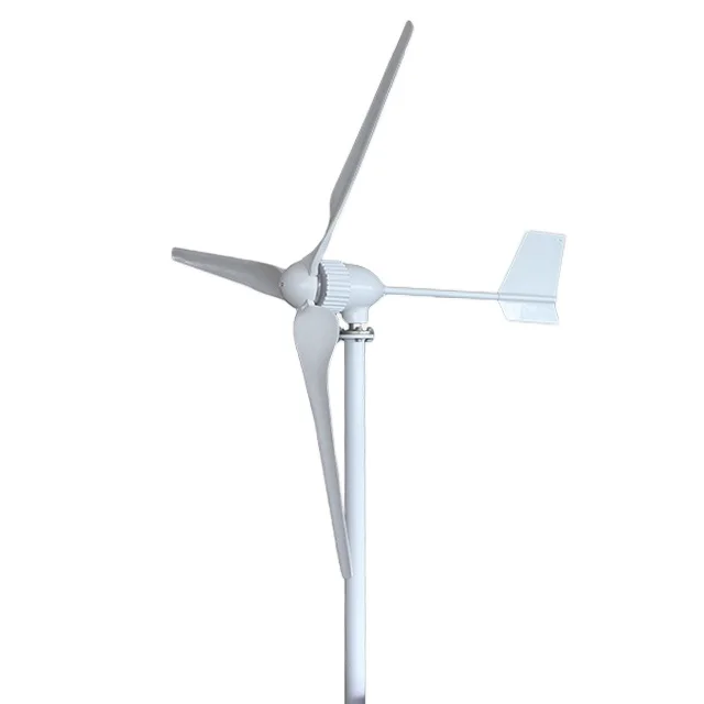 Wind energy 1000w 1kw 24v 48v low noise roof horizontal Wind Turbine Generator with MPPT controller