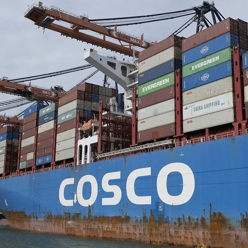 Sea Shipping China To India Ddp Sea Freight China Usa Canada Australia Sea Freight China To Saudi Arabia