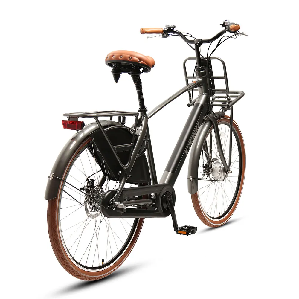 TXED 28 inch Amsterdam  inner 3-speed electric bike 250W  Lithium battery Electric City Bicycle