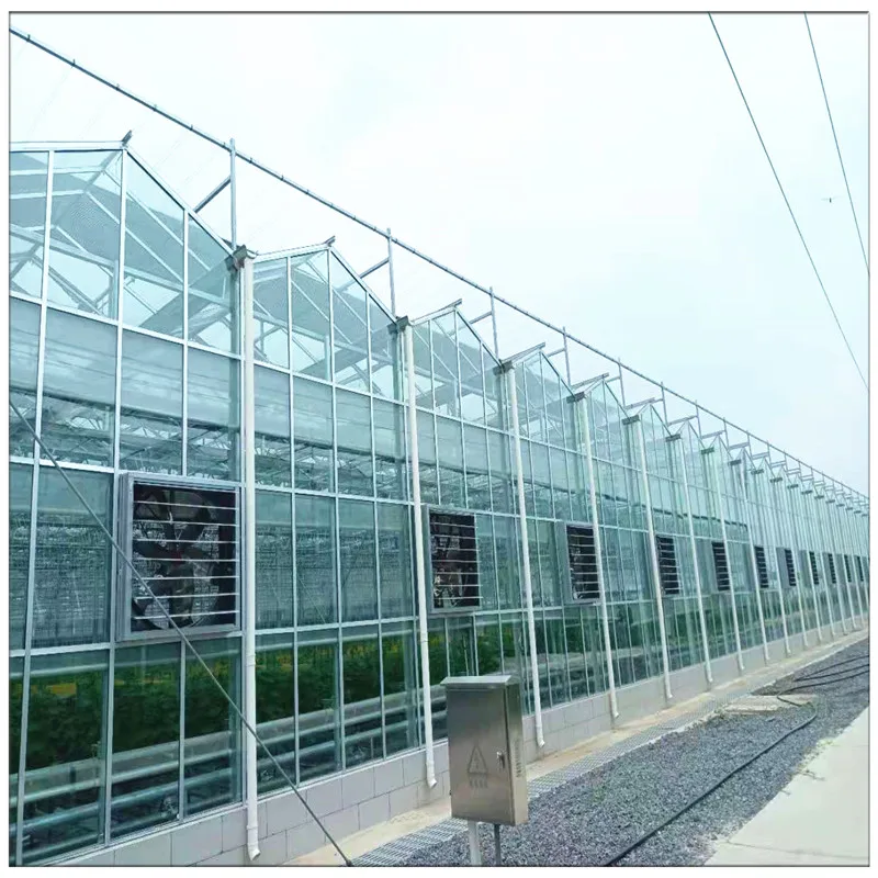 China Factory Price Galvanized Steel Frame Tomato Strawberry Growing Multi Span