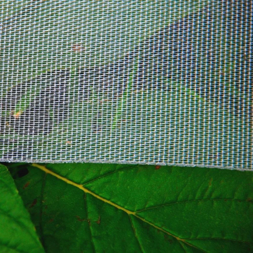 Nylon Net 100% virgin HDPE Window screen , anti-aphids net , Anti Insect net