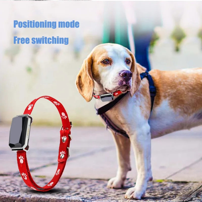 Lorenzo OEM Smart Container Bird Hidden 2023 GPS Phone Dog Pet Relay Wireless Micro 4g Magnetic Mini Small Low Cost GPS Tracker