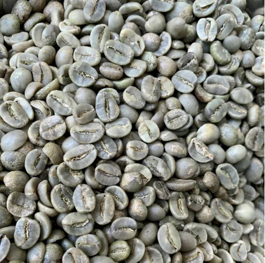 3.1$/kg wholesale retail vietnam coffee original CAU DAT LAM DONG coffee arabica robusta raw coffee free samples wa +84938736924