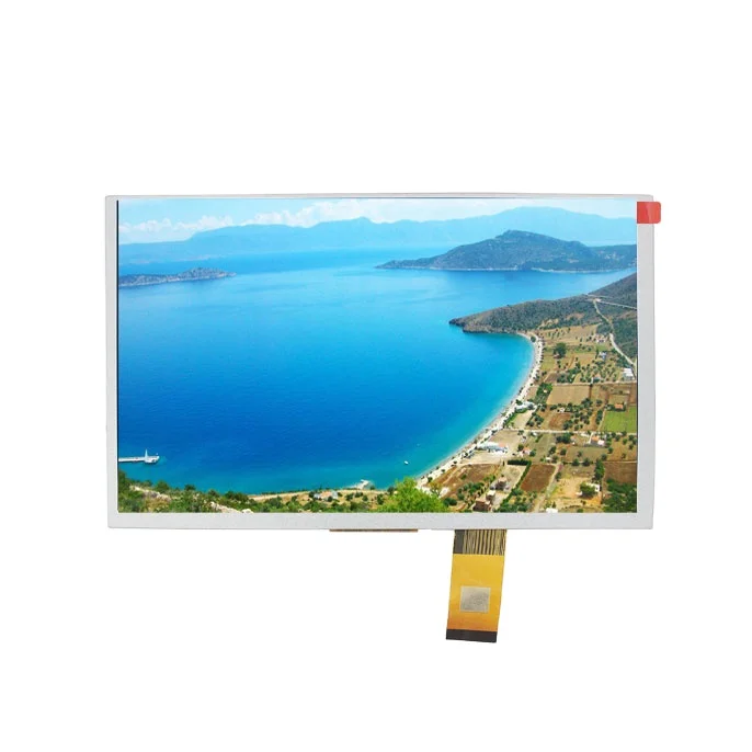 40 Pin 9 Inch TFT Display LCD Panel 1024*600 High Resolution TN Screen OEM Design LCD Screen Panel