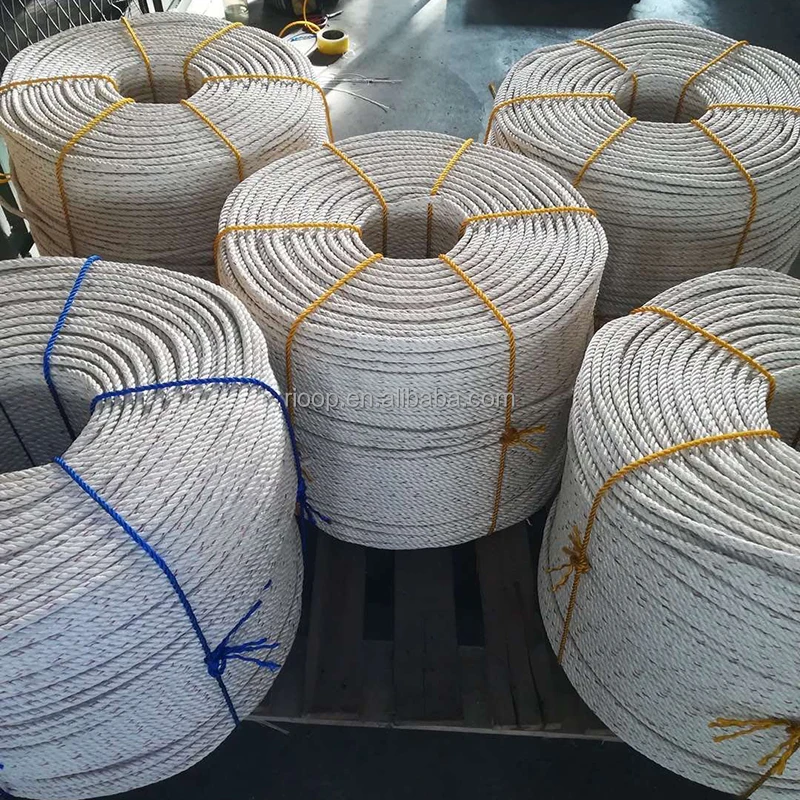 Best Selling- PP, PE Rope-Color-Aquaculture Rope -3,4,Strands From China