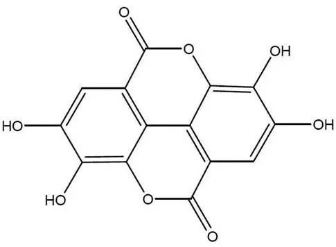 Pomegranate Rind Extract Ellagic Acid 1%-90%  EllagiGuard Gallogen