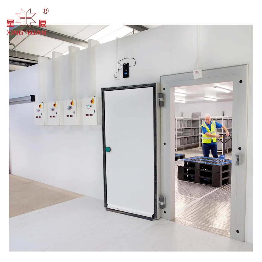 Customized Professional Good Price Of 75mm pu sandwich freezer room part Swing Door