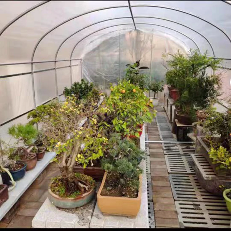 Single-Span Greenhouse hydroponics  Tunnel Plastic Film Cover Galvanized Steel Frame single  span greenhouse