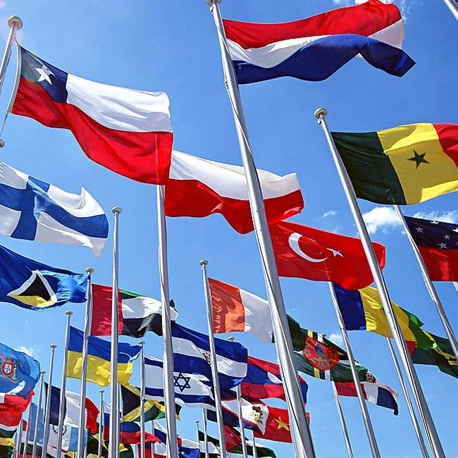 Factory customized Oman car flag Syria Netherlands Germany Kuwait Sri Lanka Russia blank car window flag clip rear window