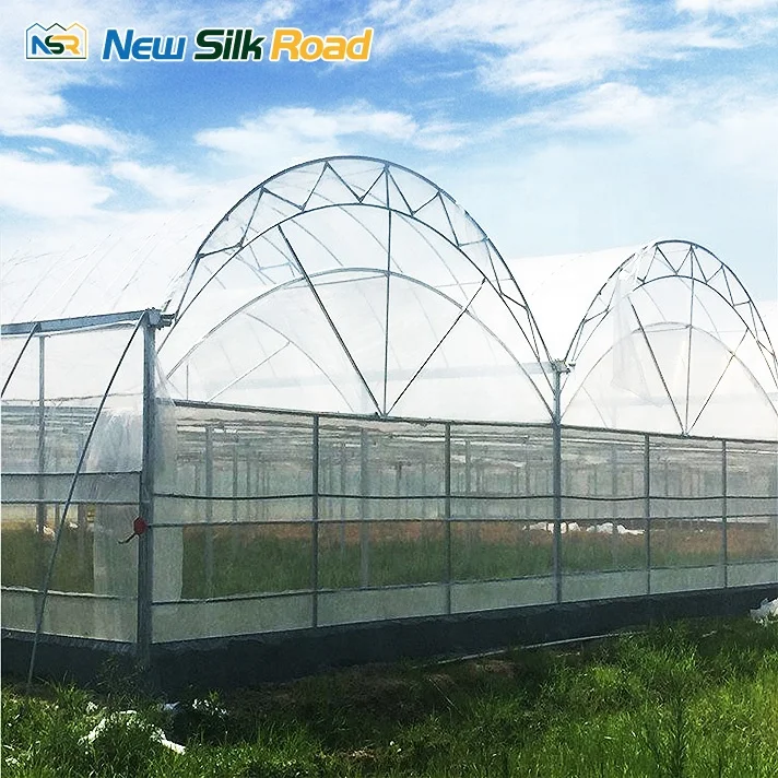 Large Economical Plastic Agricultural Greenhouse Double Single Layer Hot Dip Galvanized Steel Frame Plant Use PE ETFE Material