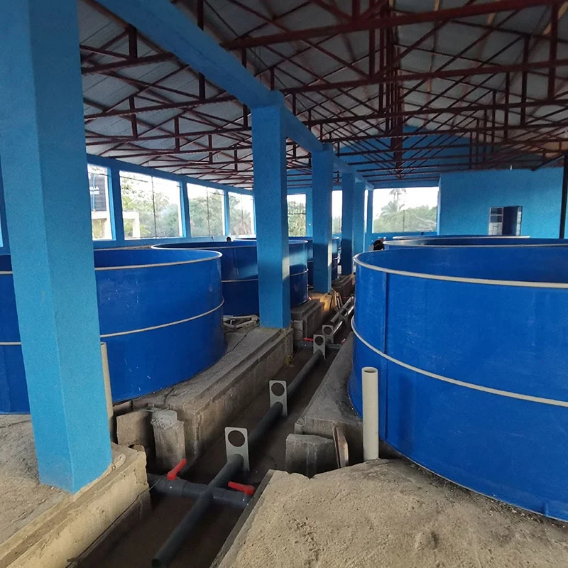 Indoor recirculating aquaculture system fish farming RAS Solution for Tilapia Fish farming