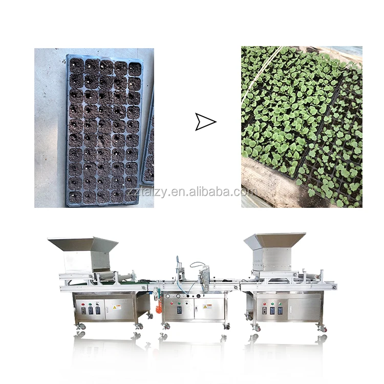 onion seeders transplanters paper pot seeder plates vegetable tray seeding machine