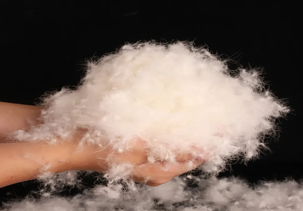 White Duck Down and White Goose Down 600/700/800/1000 Fill Power High Quality