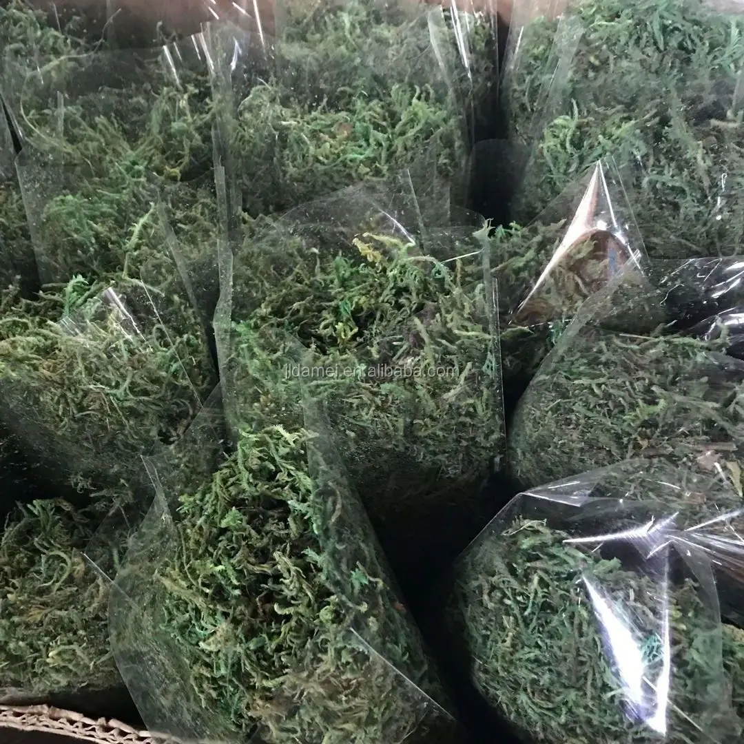 High Quality Artificial Landscaping Garden Decoration Artificial Grass Moss