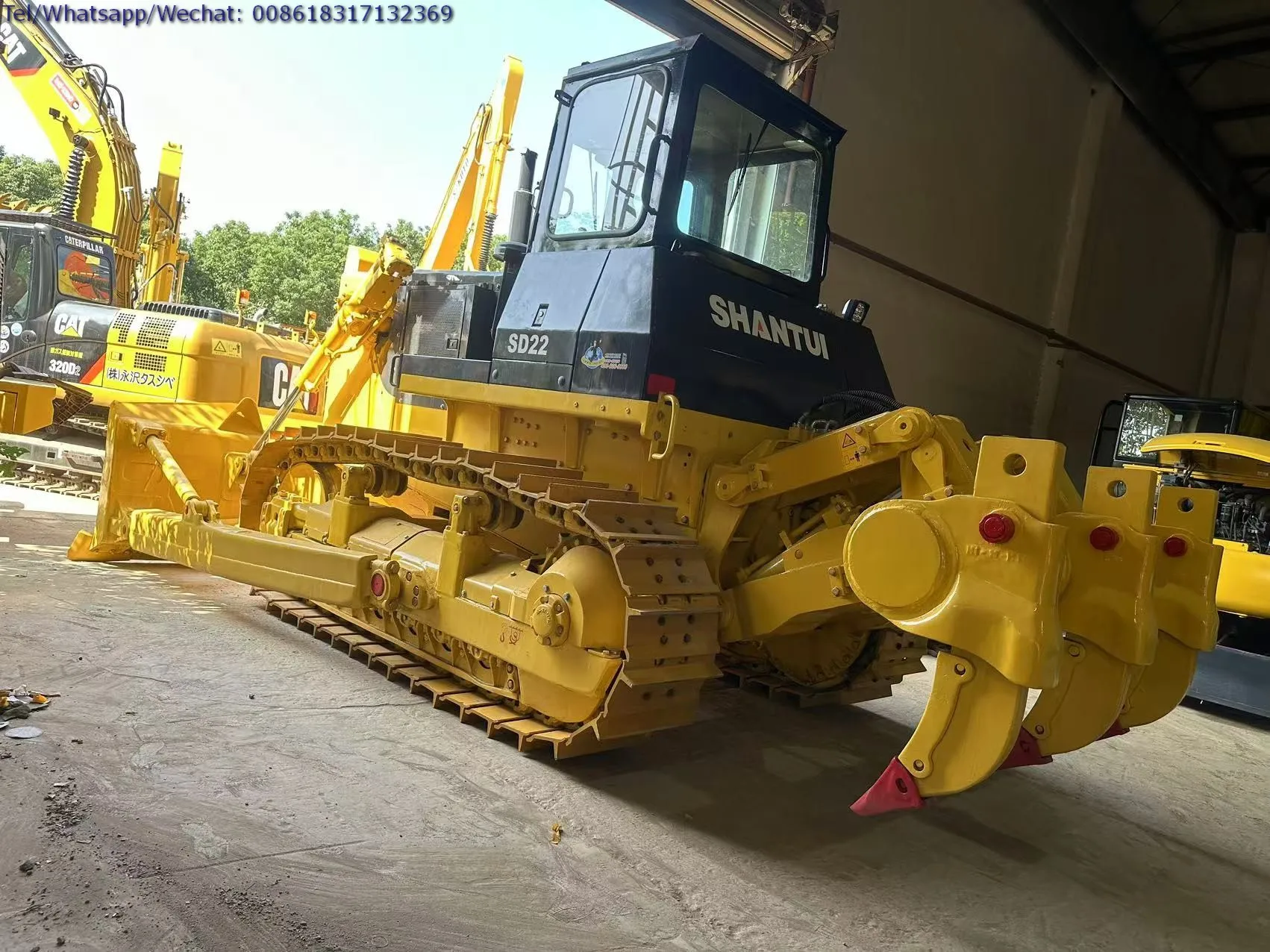  SD22 (14).JPG