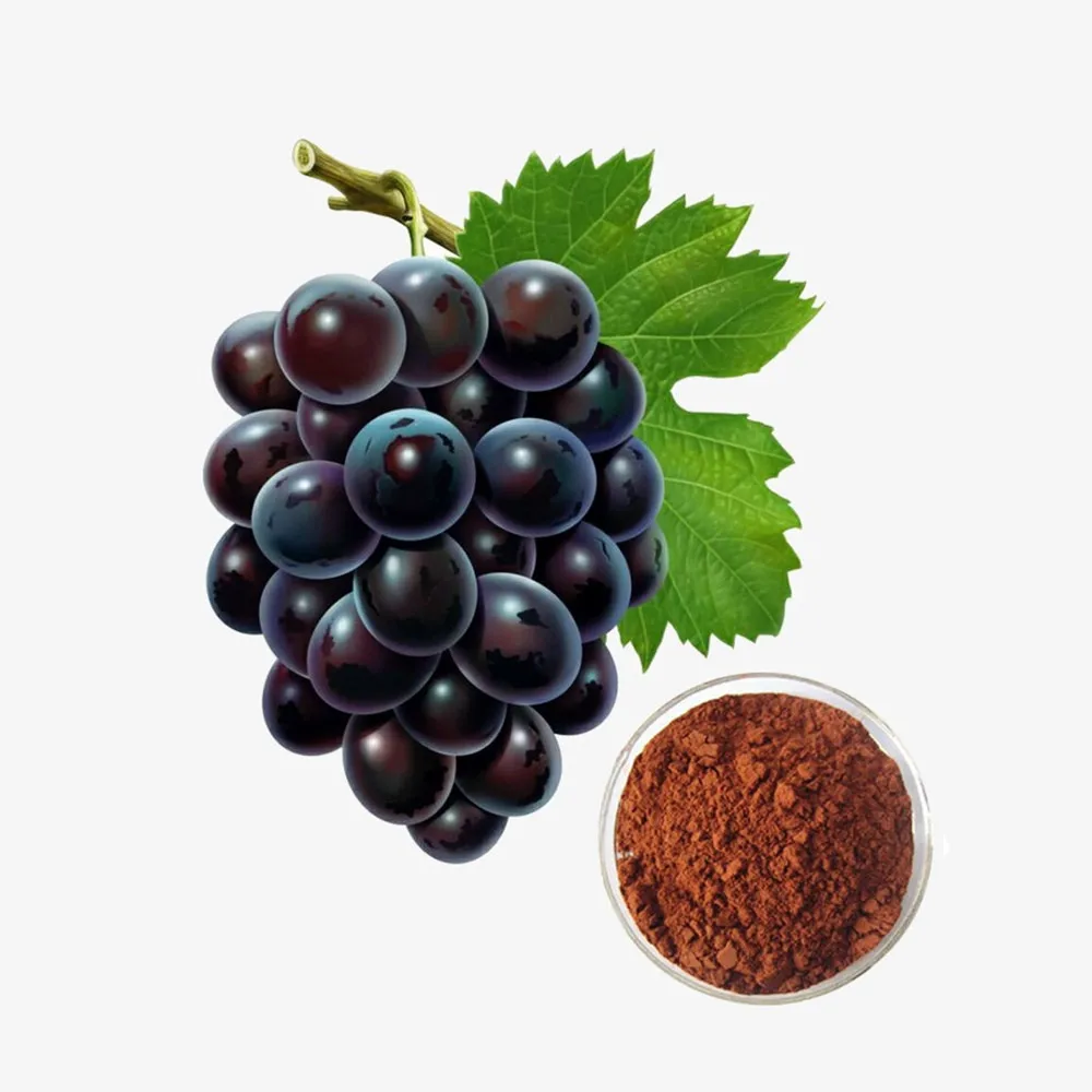 Raw Materials Manufactures Organic Fruit For Skin 80% Polyphenol 40% Anthocyanin 95% in Proanthocyanidin Grape Seed Extracts