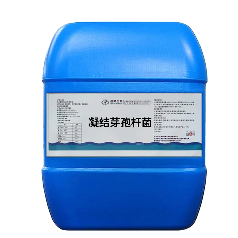 Oem Service Improve Animal Feed Intake 50 Billion Additives Probiotics Powder Bacillus Coagulans Poultry Feed Concentrate