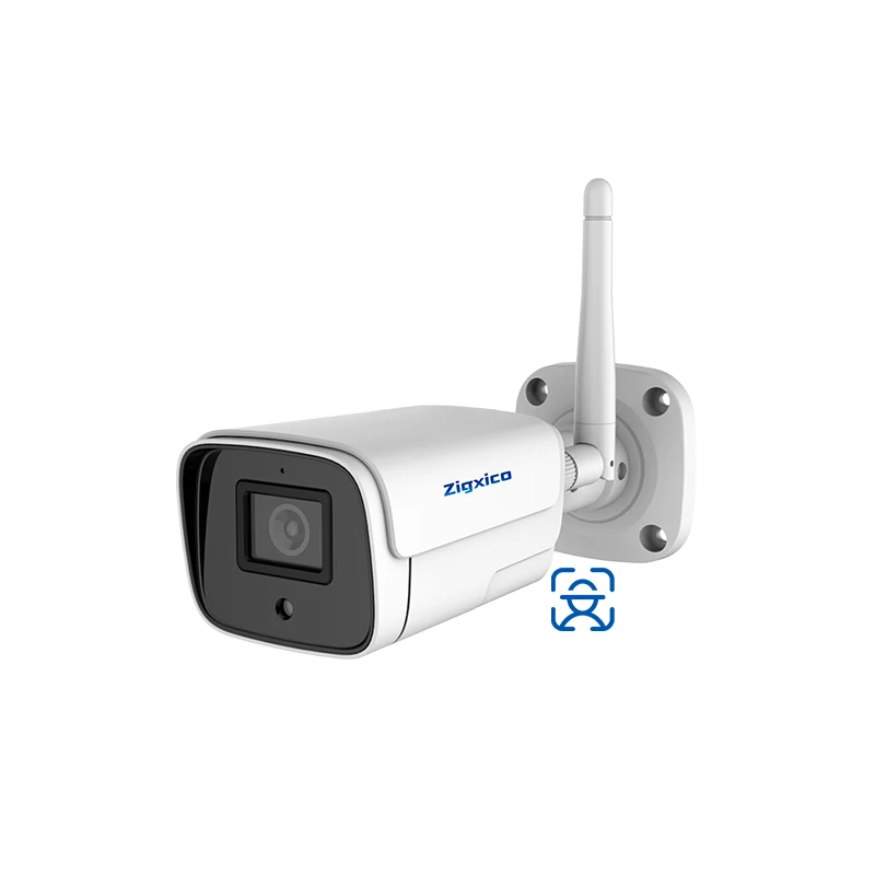 Tuya 2 Way Audio People Detection House Security Cam Fog System