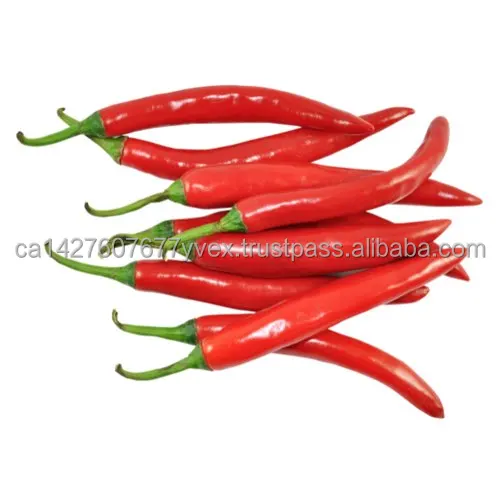 natural-red-chilli-500x500.jpg
