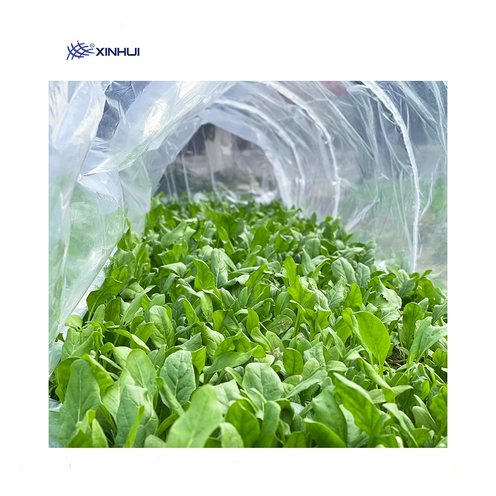 Горячая Распродажа, пластиковая легкая туннельная теплица для сада