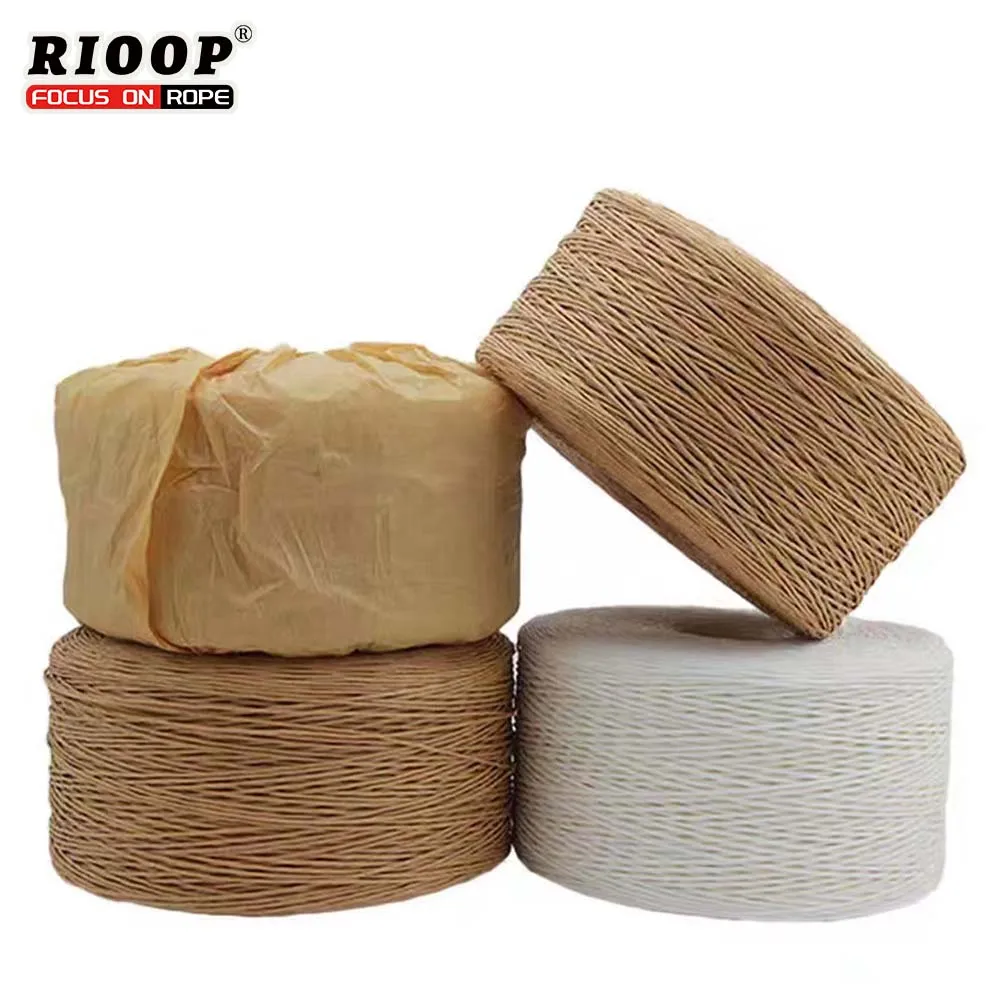 RIOOP Biodegradable Customized  Colored Raffia Paper Rope Raffia Ties Paper Twist Paper Twine Ribbon Garden DIY 1mm 2mm 3mm