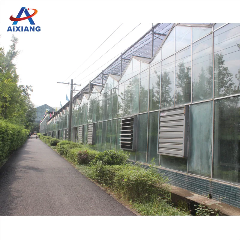 
Hot sale commercial glass greenhouse shade green house for plants/vegetable/flowers 