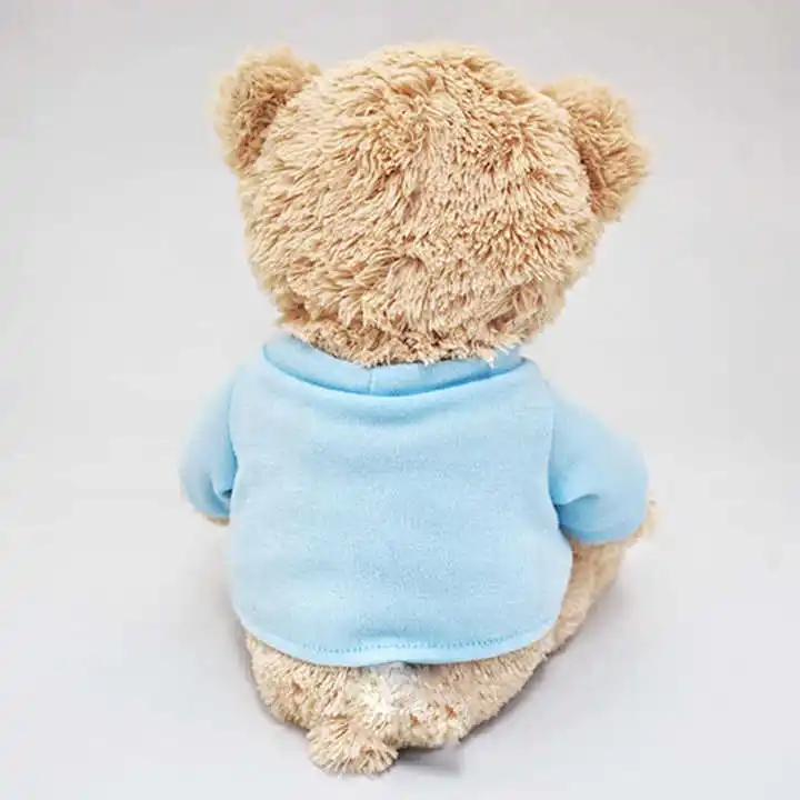 Teddy bear plush toys come with pictures and samples for factory customization